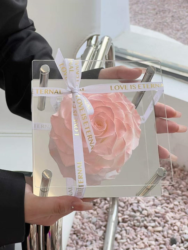 Big Rose Single Rose In Acrylic Gift Box Preserved Immortal Rose Flower Gifts Fo
